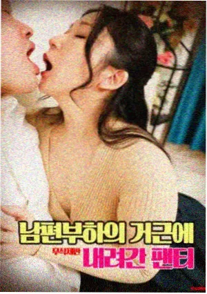 第四季度伦理题材排播表资讯配图